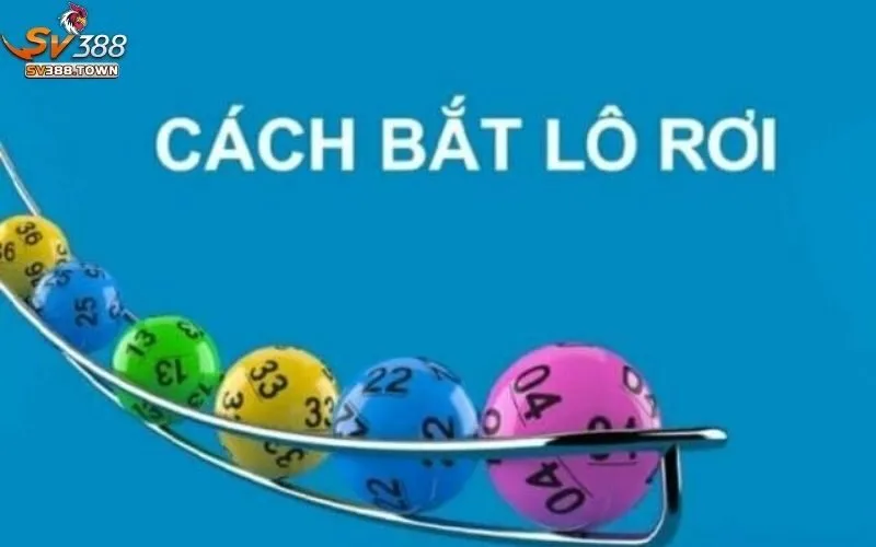 Cách Bắt Lô Rơi Hiệu Quả: Kinh Nghiệm Bắt Lô Rơi Dễ Trúng 3 Cách bắt lô rơi hiệu quả