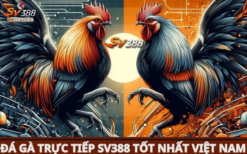 Chơi Đá Gà Online: Hướng Dẫn Chơi Đá Gà Trực Tuyến An Toàn 2 Chơi đá gà online