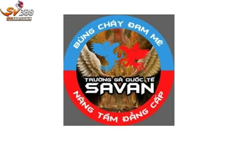 Trường Gà Savan